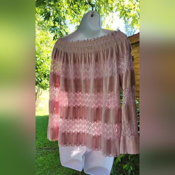 SAY WHAT rose lace blouse - Picture 4 of 5